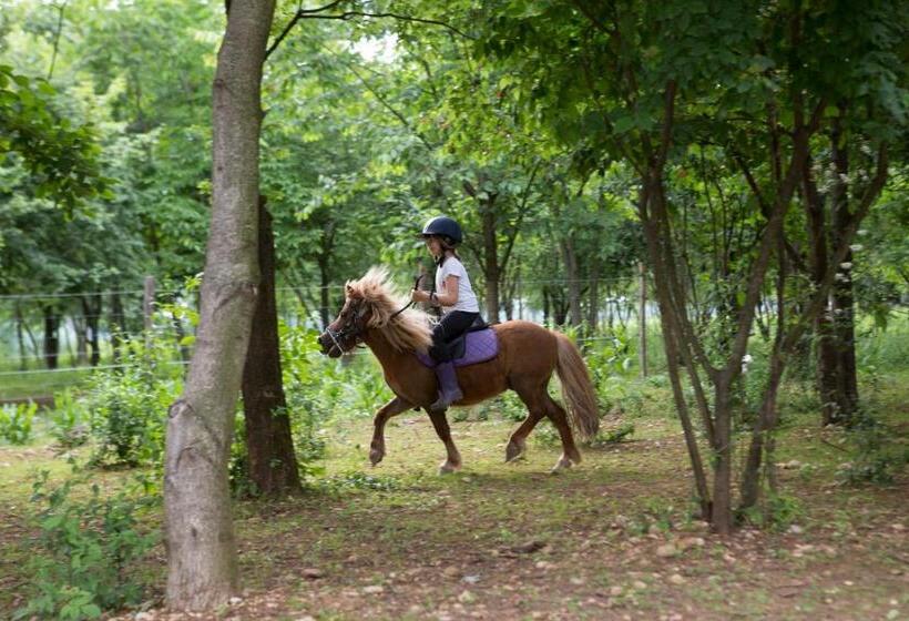 فندق Agriturismo Borg Da Ocjs