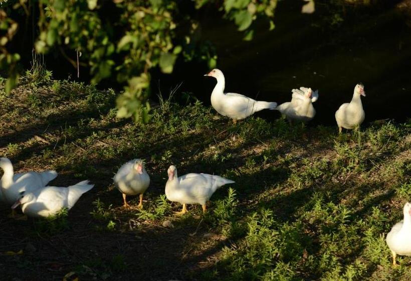 בית מלון כפרי Agriturismo Dartora