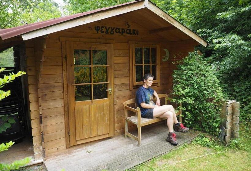 هتل Frauenpension Arleta   Women Only