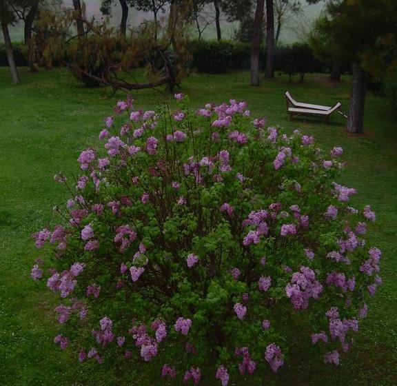 هتل Locanda Strada Della Marina