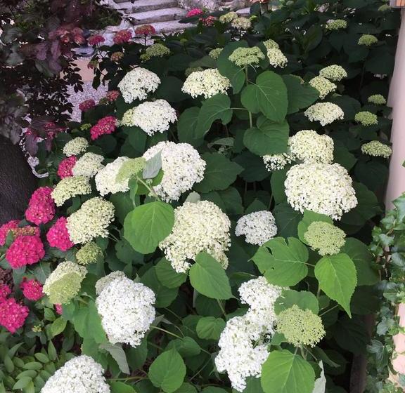 فندق Relais Villa Augusta