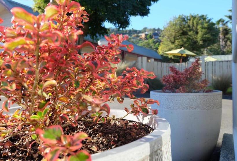 Castles Motel And Driftwood Motel