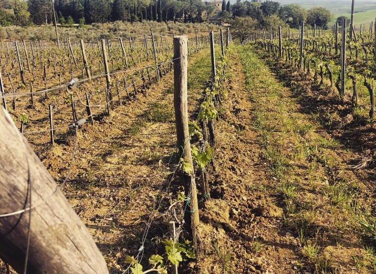 酒店 Agriturismo Pometti   Fattoria La Selva