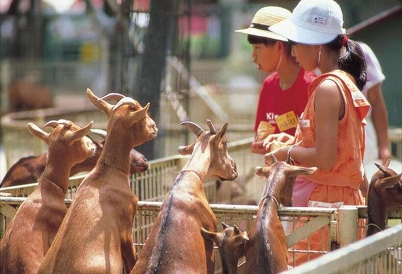 Apa Hotel Miyazaki Eki Tachibana Dori