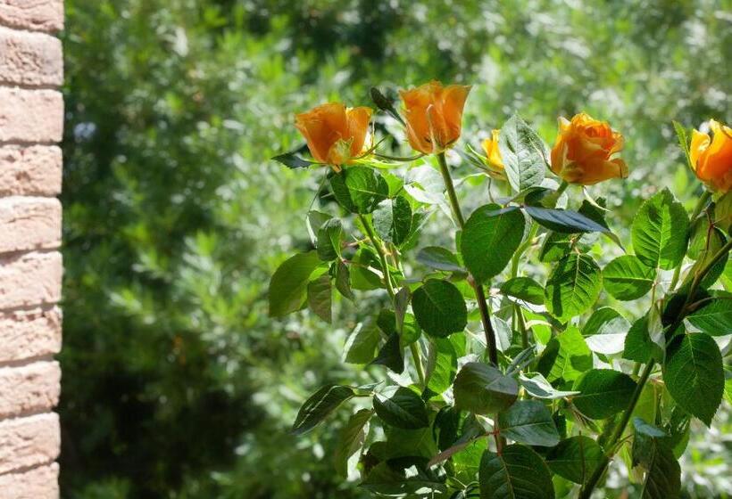 Torciano Hotel Wine & Winery, Tuscany