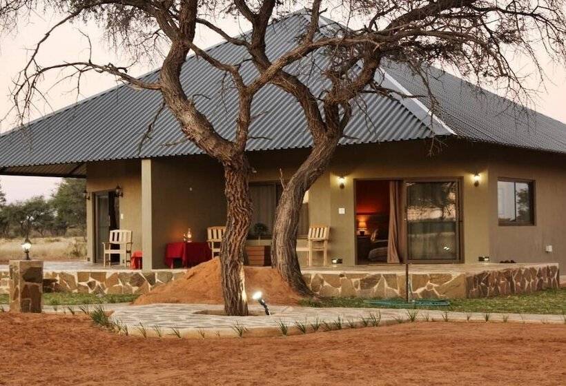 酒店 Africa Awaits Lodge & Safaris