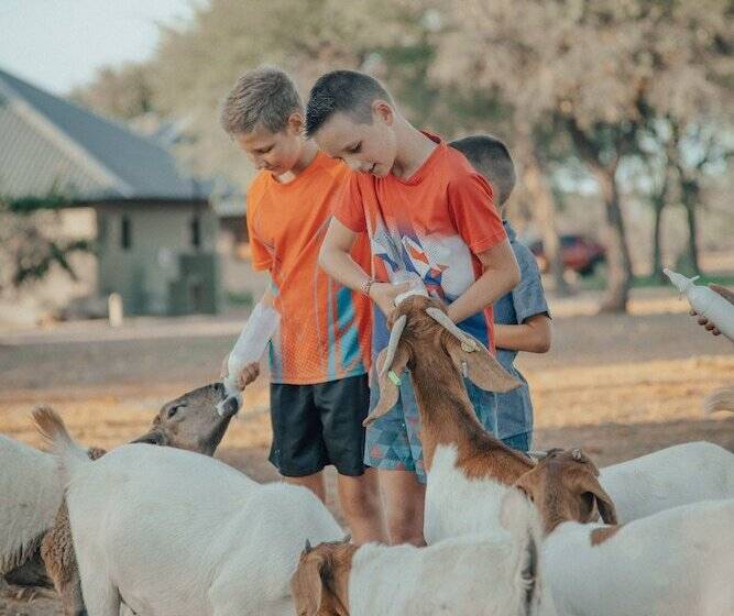 酒店 Africa Awaits Lodge & Safaris