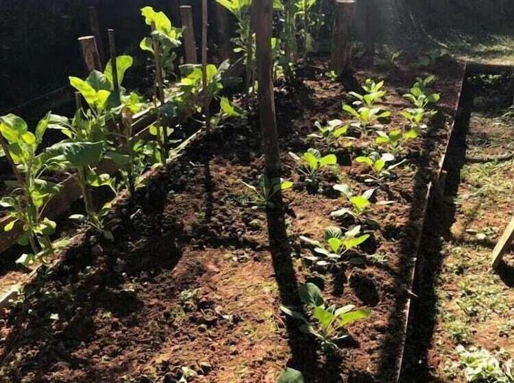 Отель Pousada Cores E Flores