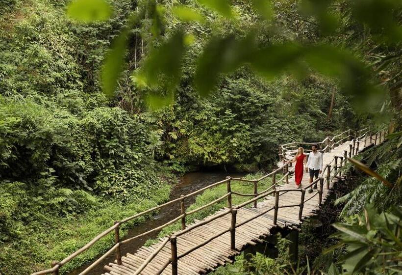 فندق Padma Resort Ubud