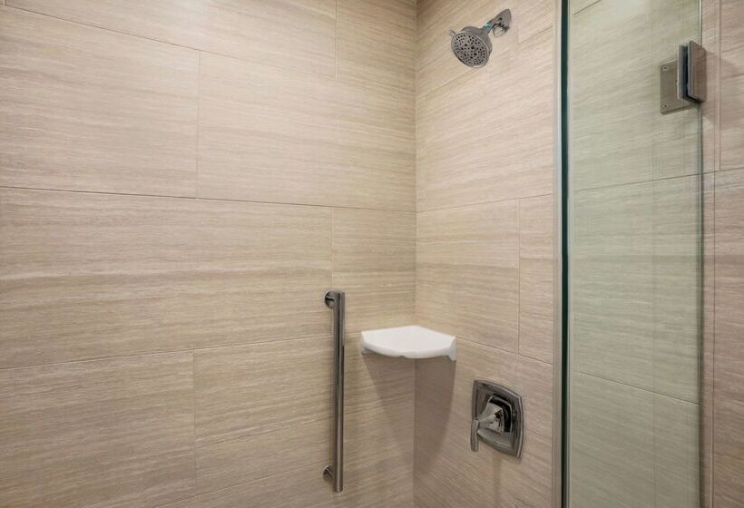هتل Embassy Suites By Hilton Mcallen Convention Center