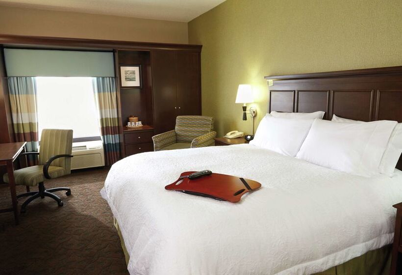 בית מלון כפרי Hampton Inn & Suites Whitefish