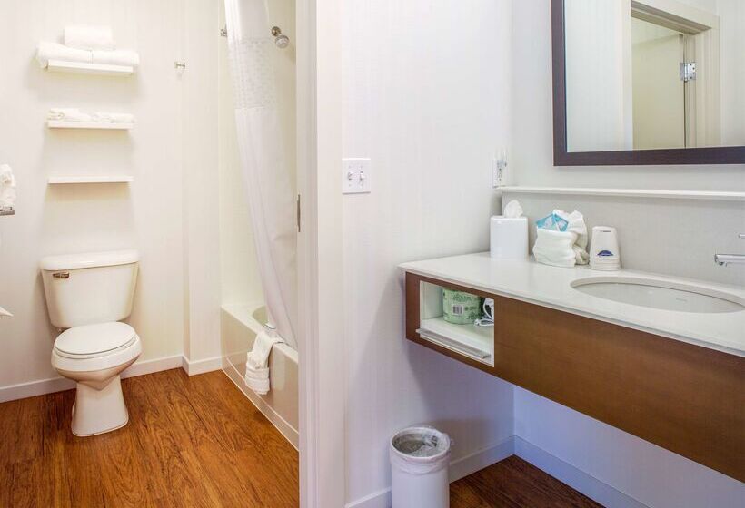 בית מלון כפרי Hampton Inn & Suites Whitefish
