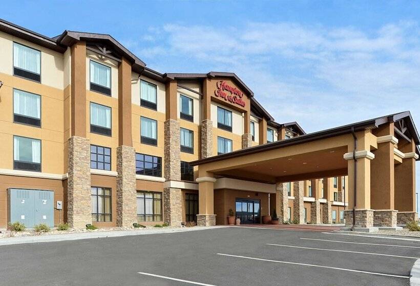酒店 Hampton Inn & Suites Douglas