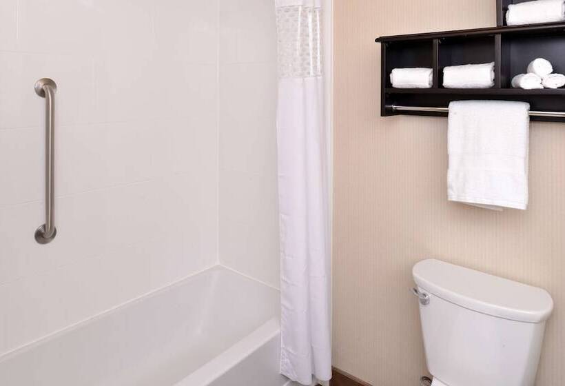 酒店 Hampton Inn & Suites Douglas