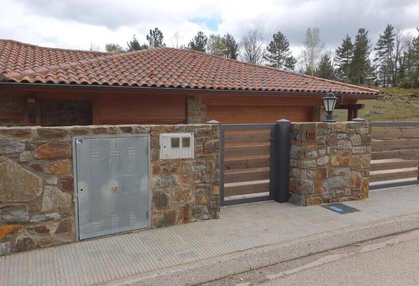 هتل Boutique Puig Franco  Adults Only