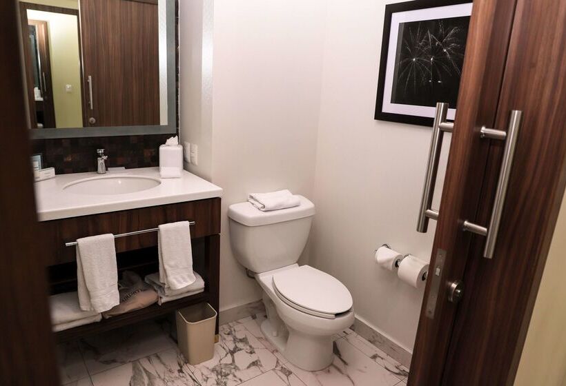 هتل Hampton Inn By Hilton Irapuato