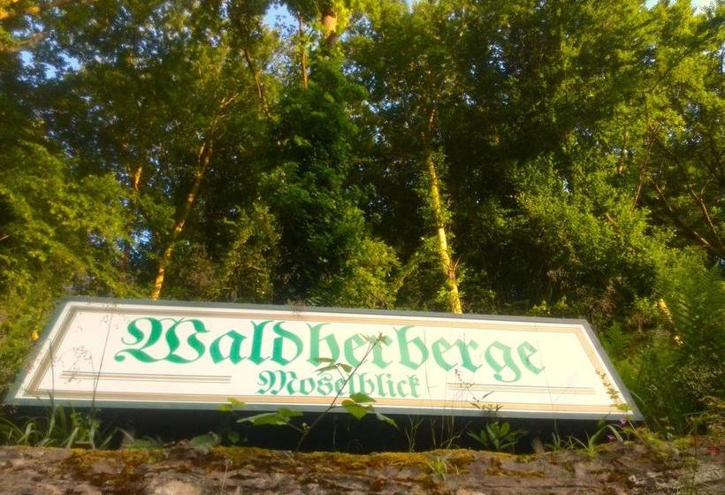 ホテル Waldherberge Moselblick