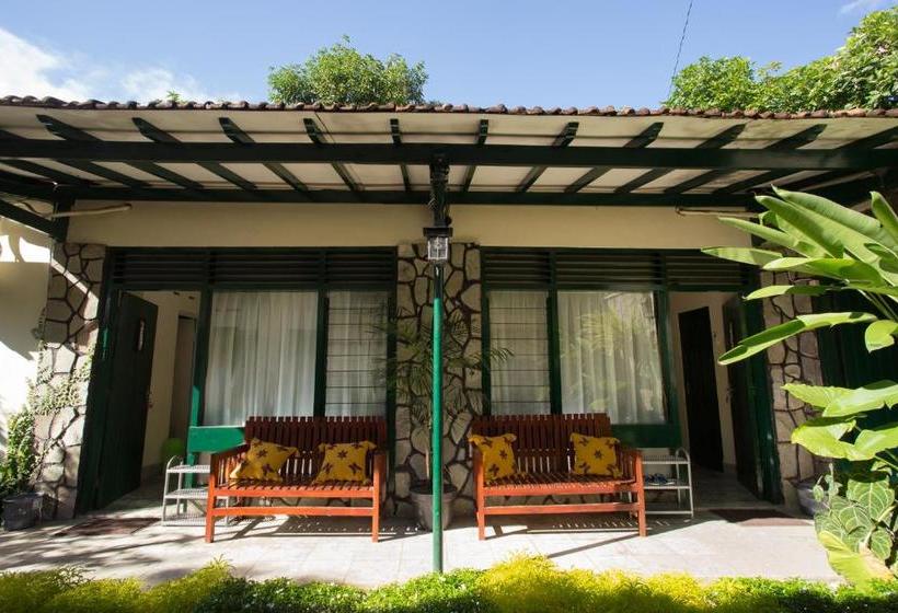 بنسيون Mango Tree Dipudjo Homestay