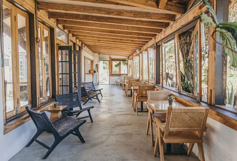 فندق Calamigos Guest Ranch And Beach Club