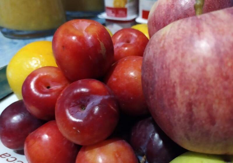 هتل Vida Ostra Marina