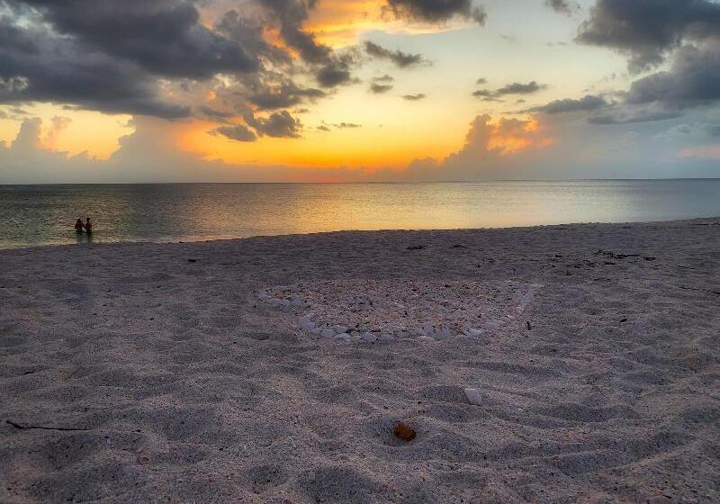 فندق Casey Key Resorts  Beachfront