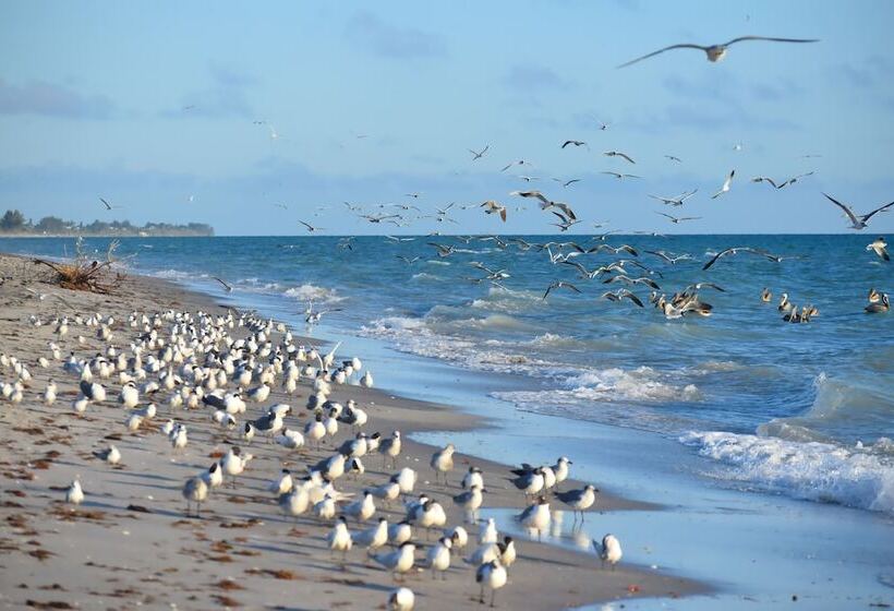 فندق Casey Key Resorts  Beachfront