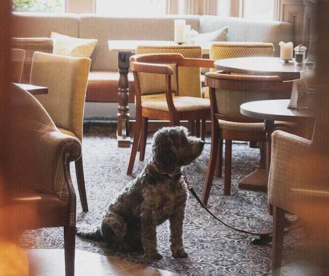 هتل Inn In The Park