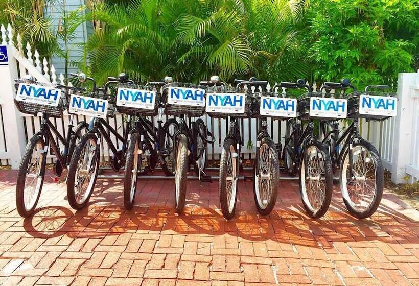פנסיון Nyah   Adult Exclusive