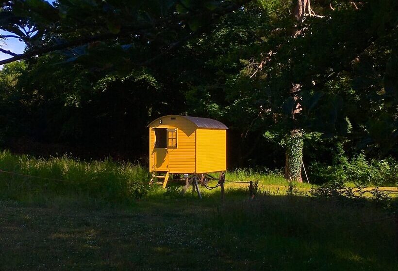 住宿加早餐  Blackstairs Shepherds Huts