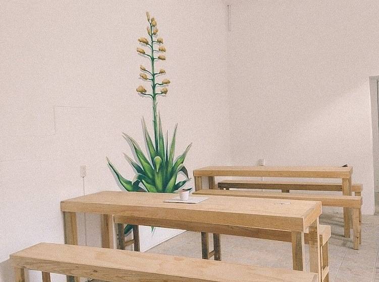 هتل Hostel Casa Maguey