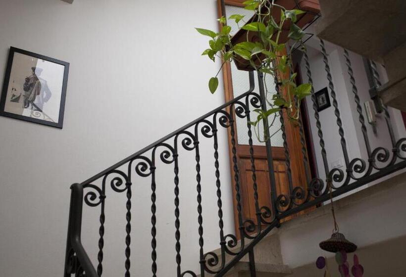 تختخواب و صبحانه Area 12 Bb