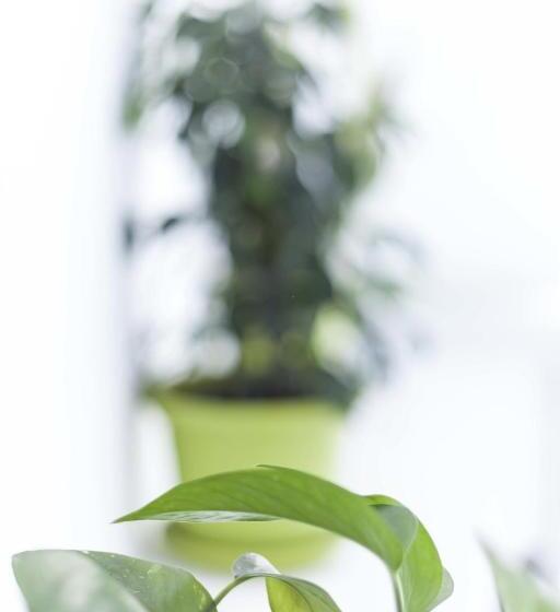 Downtown River Hostel