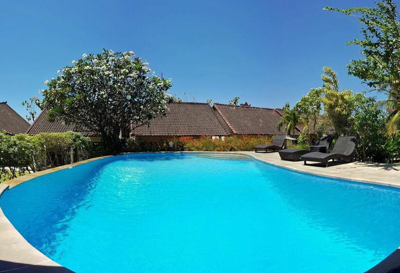 Отель Ocean Sun Homestay