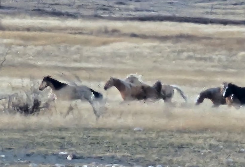 فندق Db Botique And Cabins