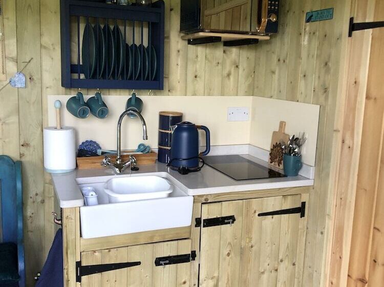 The Peacock Shepherds Hut At Hafoty Boeth