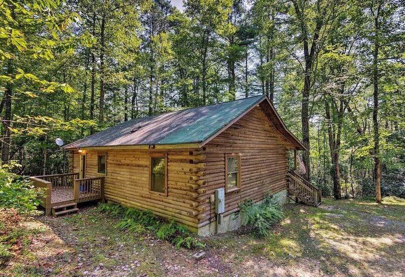 Cedar Mountain Log Cabin: 4 Mi Dupont State Forest