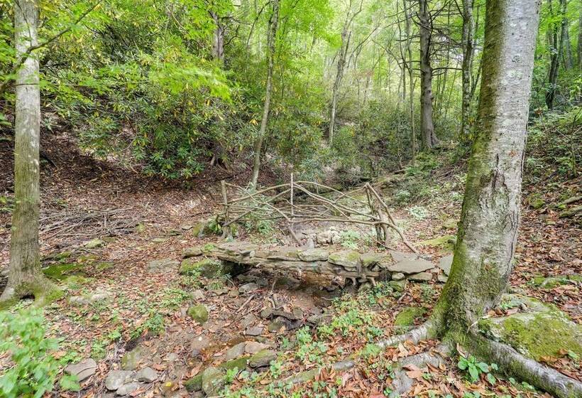 Greystone   Creekside Cabin: Hike, Fish & Explore!