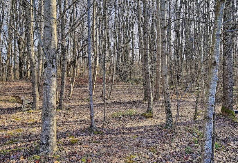 Pet Friendly Home W/ Grill & Farm In Meadowview!