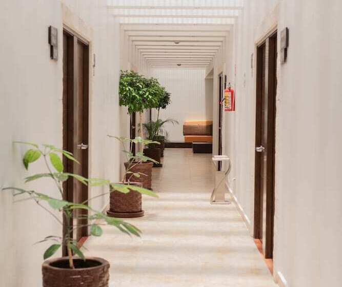 فندق Real Del Oro