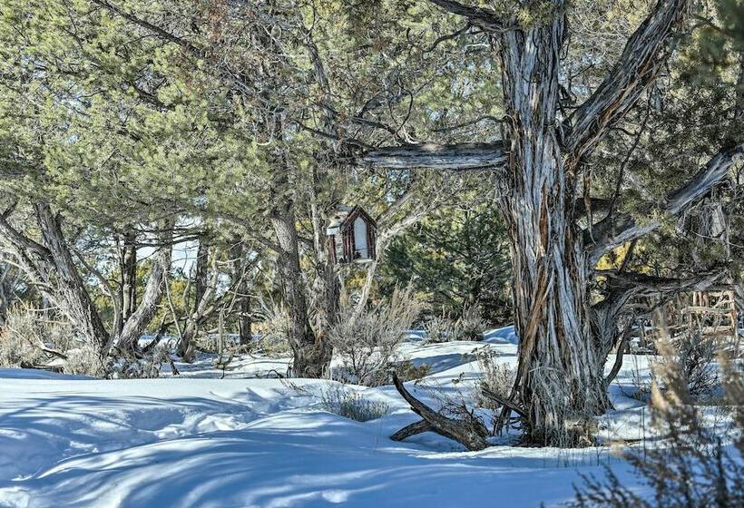 Eagles Landing  A Quiet Colorado Mountain Escape