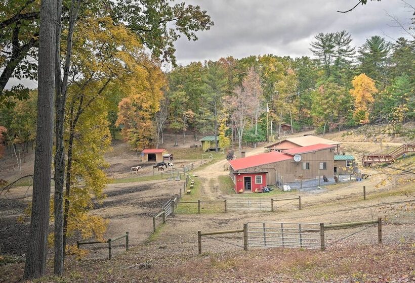 Rustic  Clint Eastwood  Ranch Apt By Raystown Lake