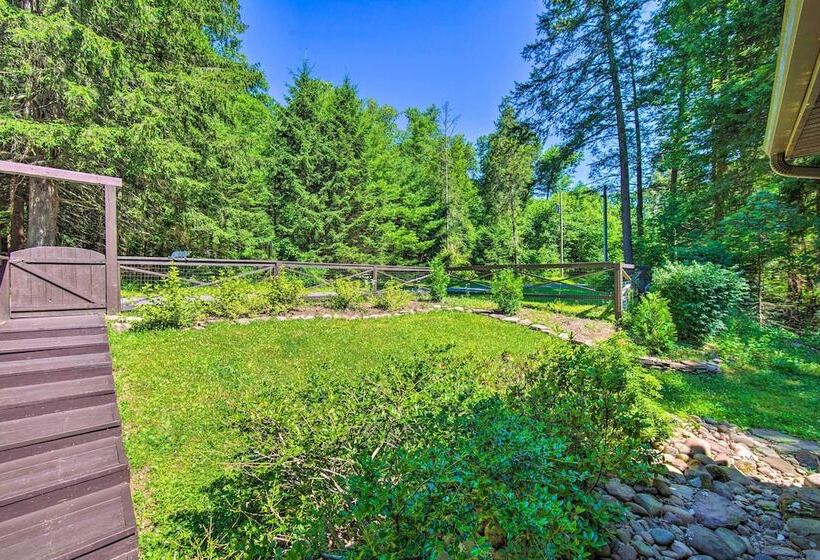 Eaglesview On The Loyalsock  Creekside Cabin