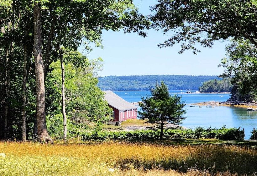 Hidden Gem Cottage  Near Blue Hill Peninsula