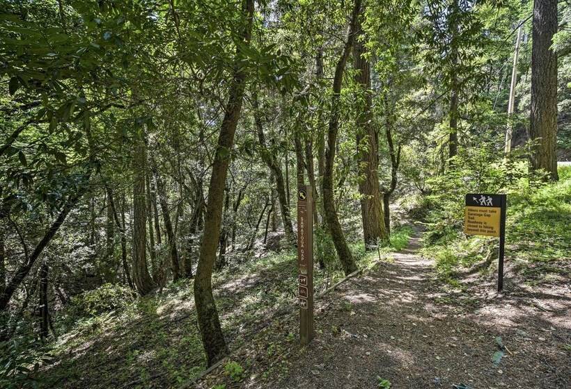 Mountain Homestead: Swim, Hike, & Camp On Site!