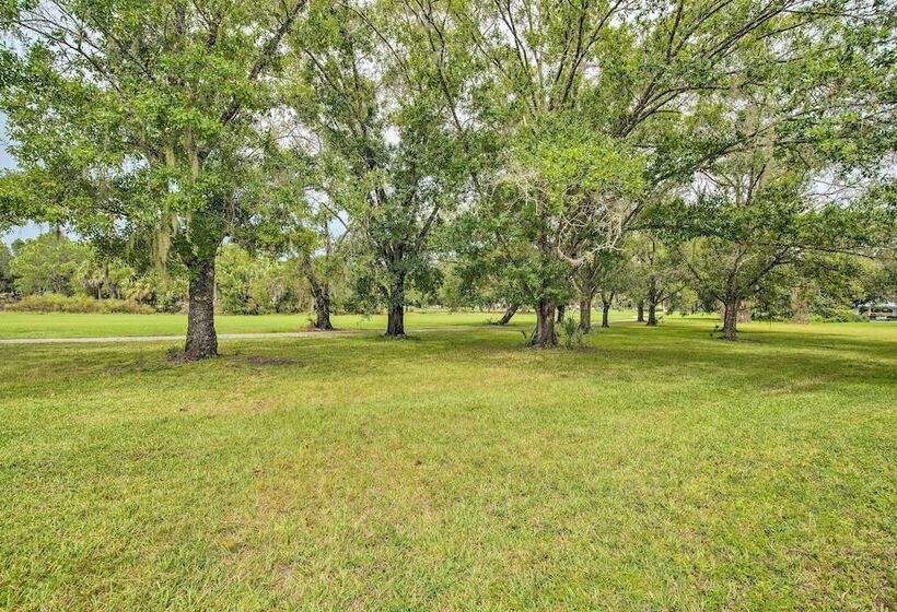 Crystal River Gem Near Three Sisters Springs!