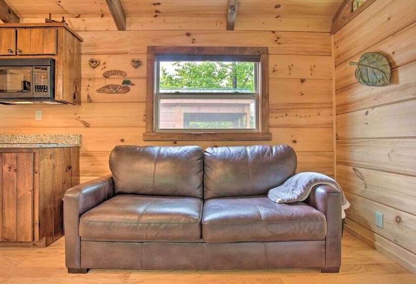 Mill Spring Cabin Near Parker Binns Winery!