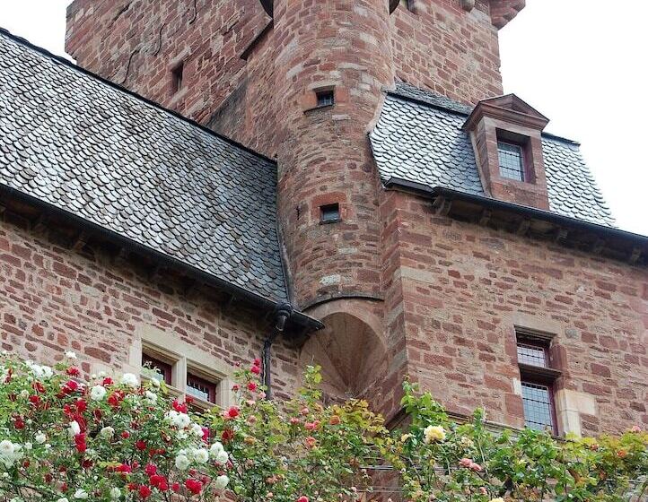 פנסיון Chateau La Servayrie
