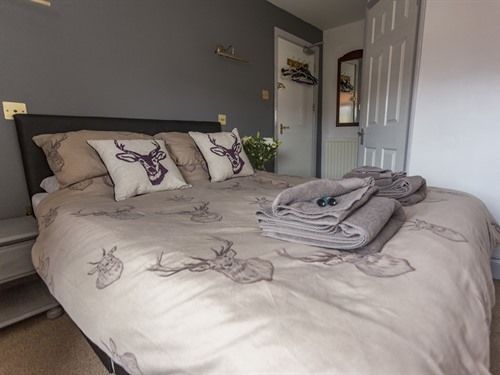 فندق فئة نجمة واحدة Black Swan