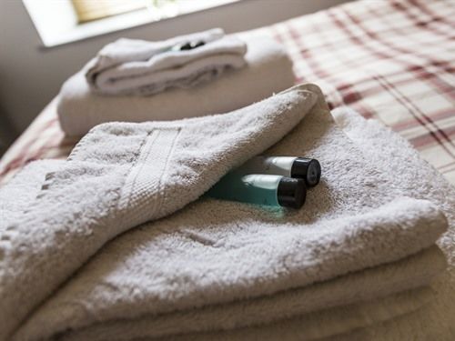 فندق فئة نجمة واحدة Black Swan