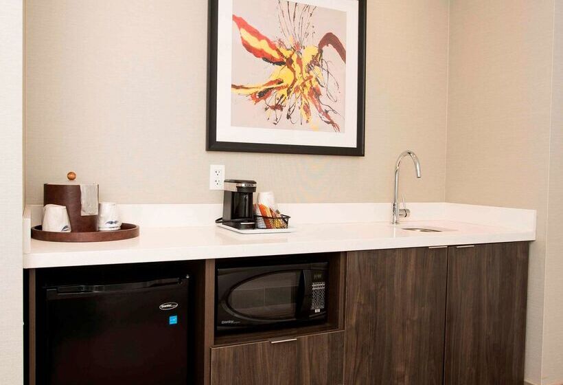 هتل Hampton Inn & Suites By Hilton Thunder Bay